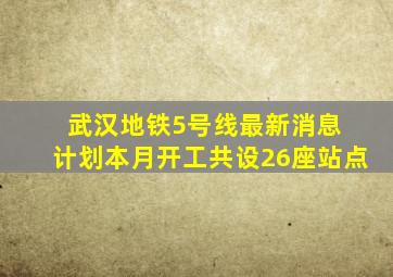 武汉地铁5号线最新消息 计划本月开工共设26座站点